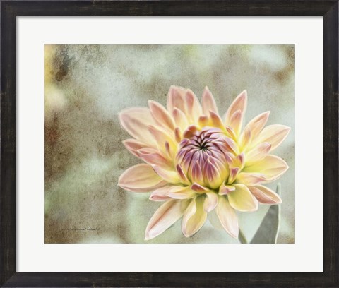 Framed Impression Flower Print