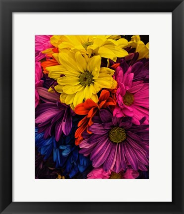 Framed Riot of Color Print