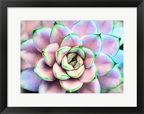 Framed Succ You Print