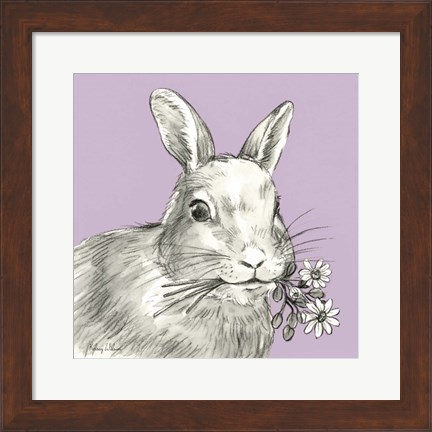 Framed Rabbit Print