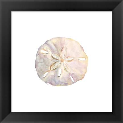 Framed Oceanum Shells White IV-Sand Dollar Print