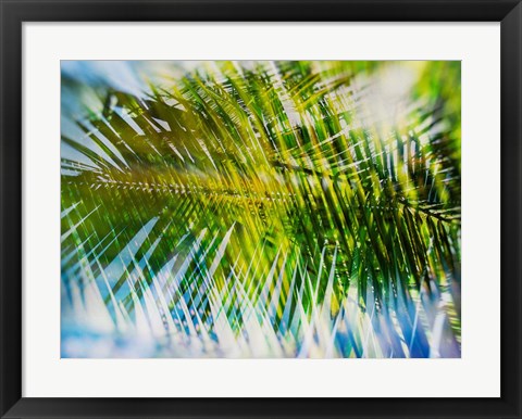 Framed Evergreen No. 9 Print