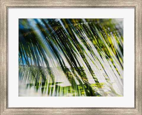 Framed Evergreen No. 10 Print