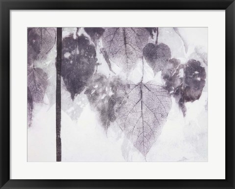 Framed Catalpa Print