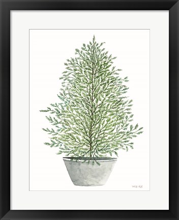 Framed Cedar Tree in Pot Print