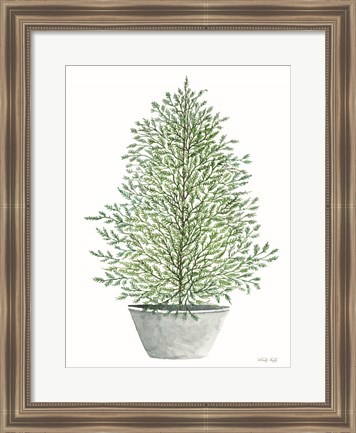 Framed Cedar Tree in Pot Print