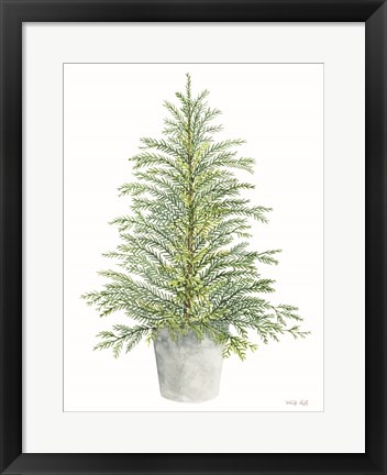 Framed Spruce Tree in Pot Print