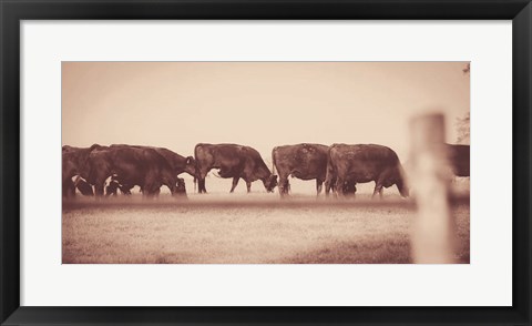 Framed Cattle Row Print