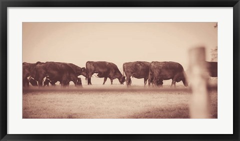 Framed Cattle Row Print