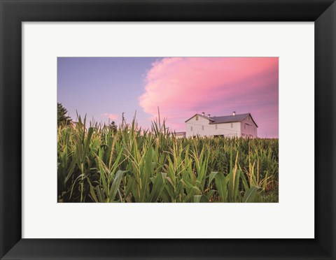 Framed Corn Crop Print