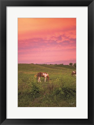 Framed Horse at Sunset Print