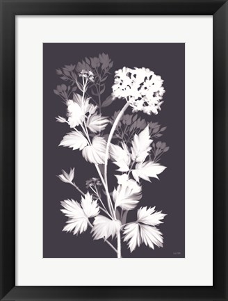 Framed Blues in Bloom I Print