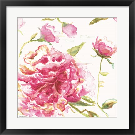 Framed English Rose Print