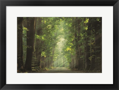 Framed Bright Lights Print