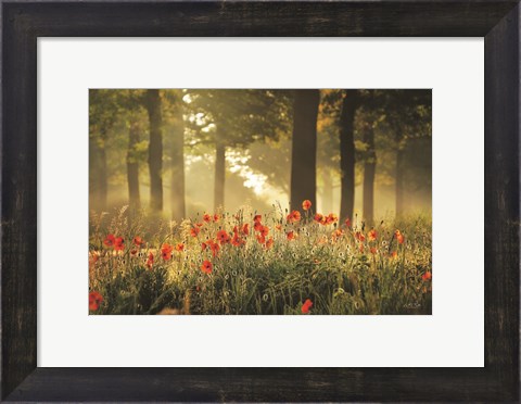 Framed Poppy Forest Print