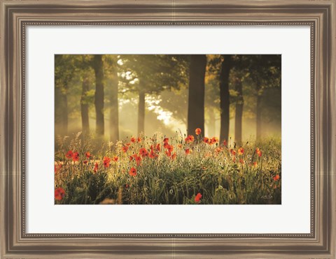 Framed Poppy Forest Print