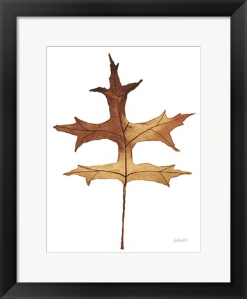 Framed Colors of the Fall I Brown Print