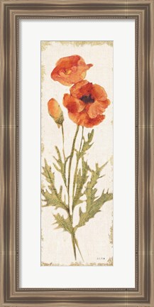 Framed Poppy Panel Light Print