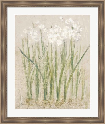 Framed Narcissus Light Print