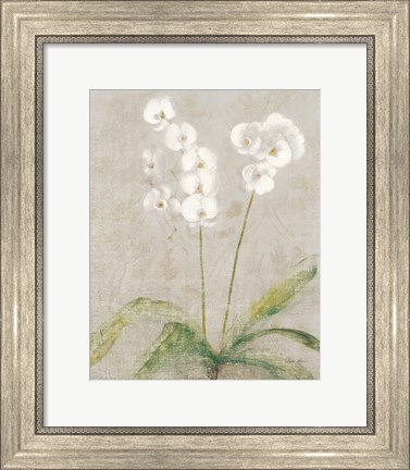 Framed Orchid Light Print