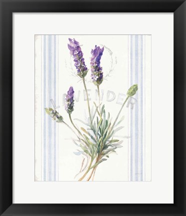 Framed Floursack Lavender III Print