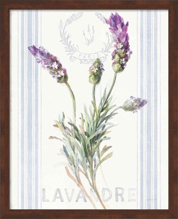 Framed Floursack Lavender II Print