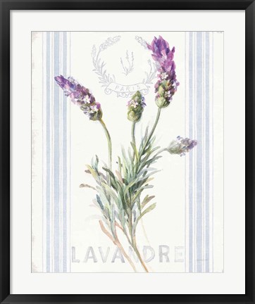 Framed Floursack Lavender II Print