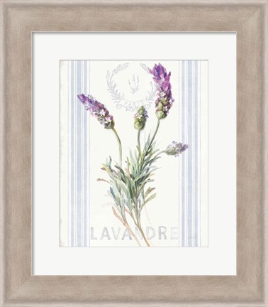 Framed Floursack Lavender II Print