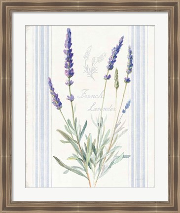 Framed Floursack Lavender I Print