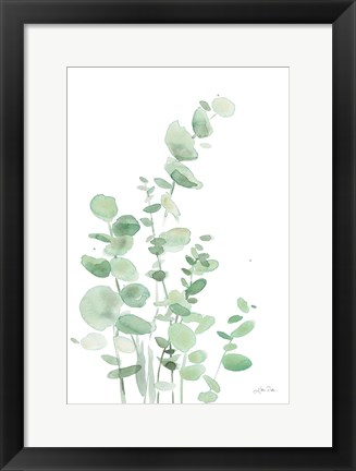 Framed Eucalyptus I Print