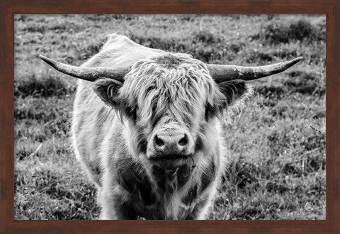 Framed Highland Cow Staring Contest Print