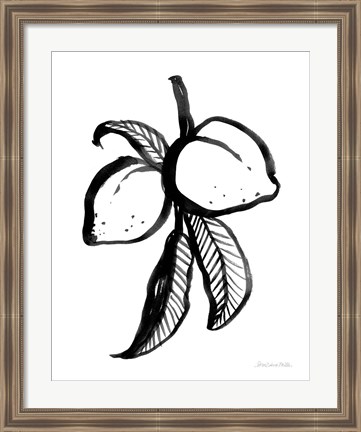 Framed Ink Peaches Print