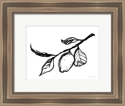 Framed Ink Lemon Print