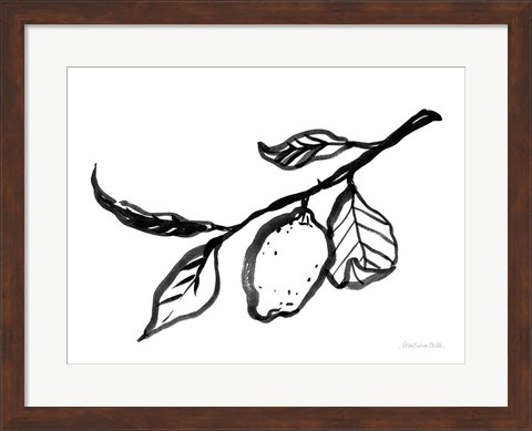 Framed Ink Lemon Print