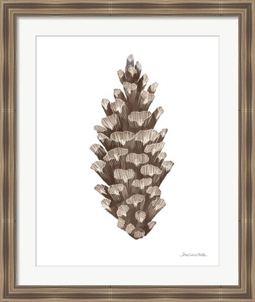 Framed Peace and Joy Pinecone Print