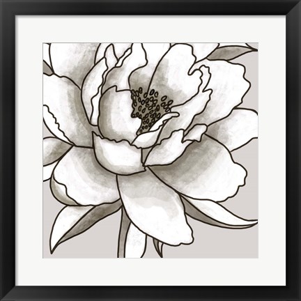 Framed Peony II Print