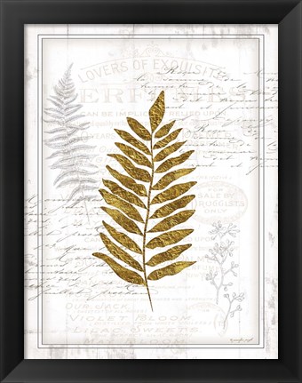 Framed Ferns Print