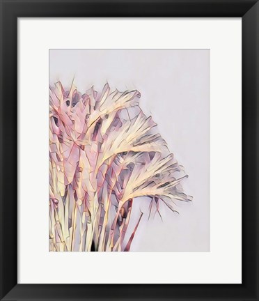 Framed Pink Grass Print