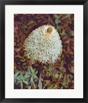 Framed Gemstone Bear Grass Print