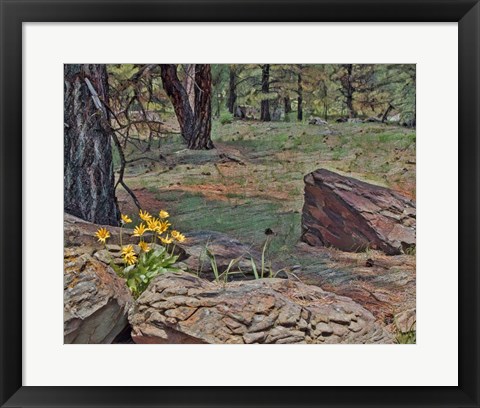 Framed Mule&#39;s Ears in Forest Print