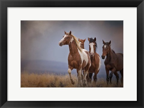 Framed Wild Stallion Print