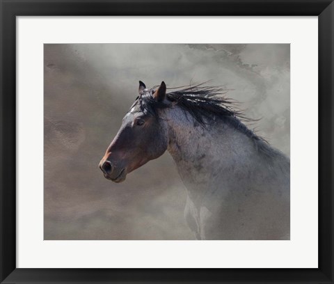 Framed Back Country Roan Print