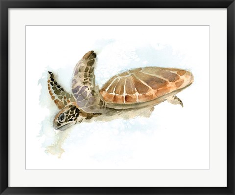 Framed Turtle Print