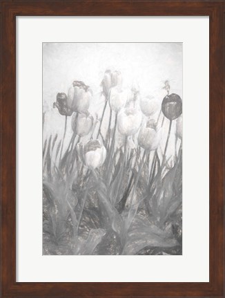 Framed Tulips I Print