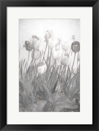 Framed Tulips I Print