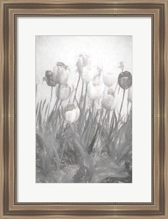 Framed Tulips I Print