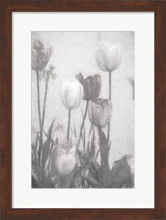 Framed Tulips III Print