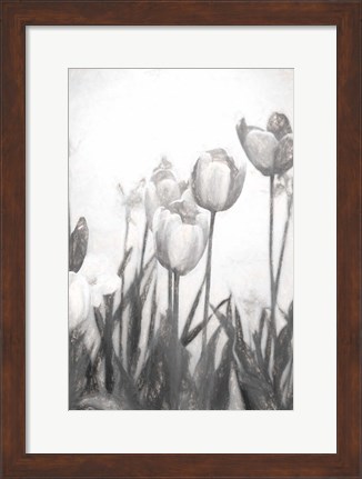 Framed Tulips IV Print