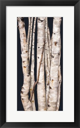 Framed Birch Tree I Print