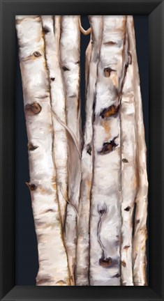 Framed Birch Tree III Print